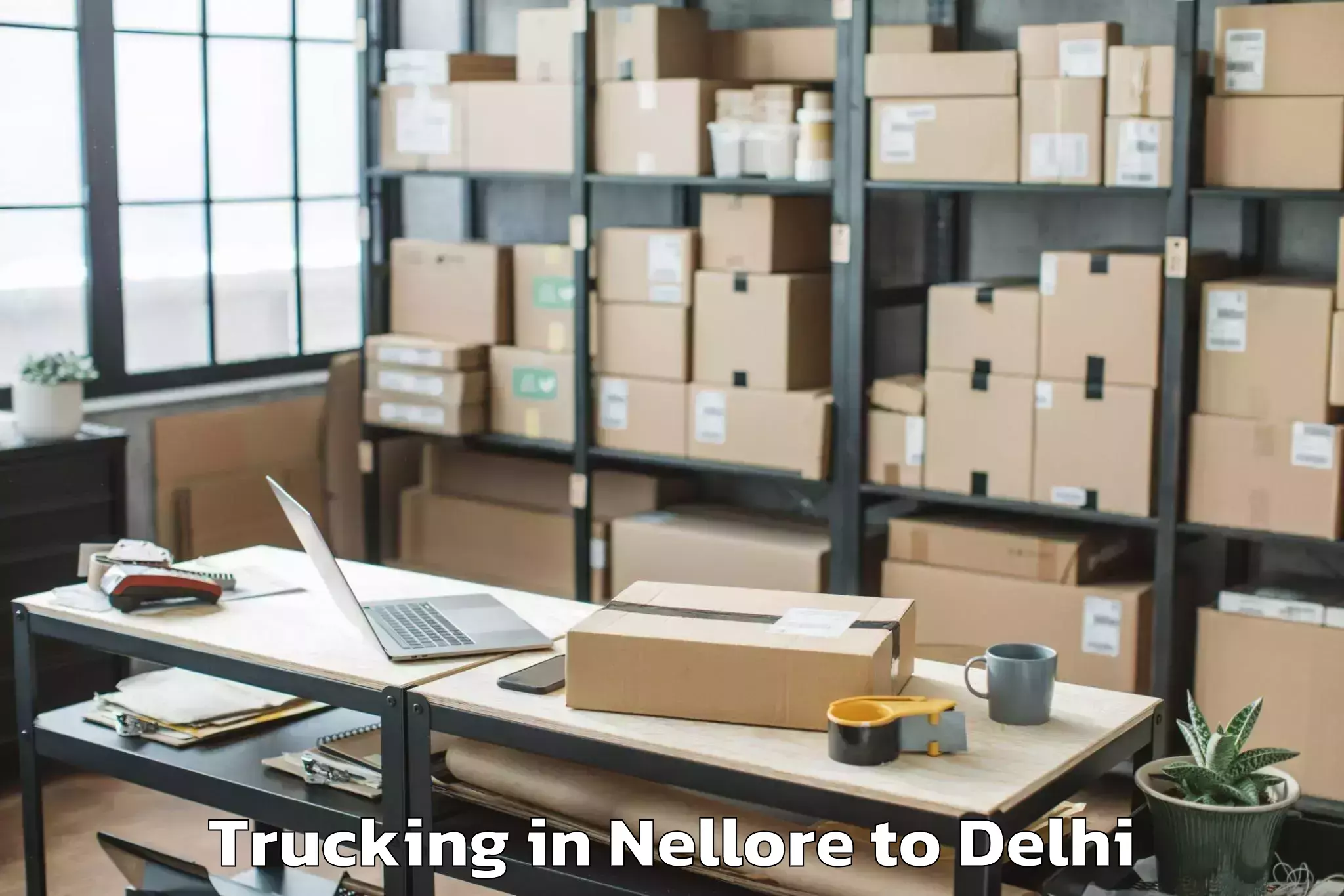 Trusted Nellore to Unity One Mall Cbd Shahdara Trucking